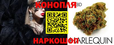 PSILOCYBIN Апшеронск
