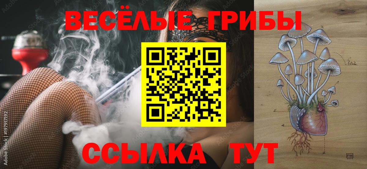 Псилоцибиновые грибы мухоморы Вязники