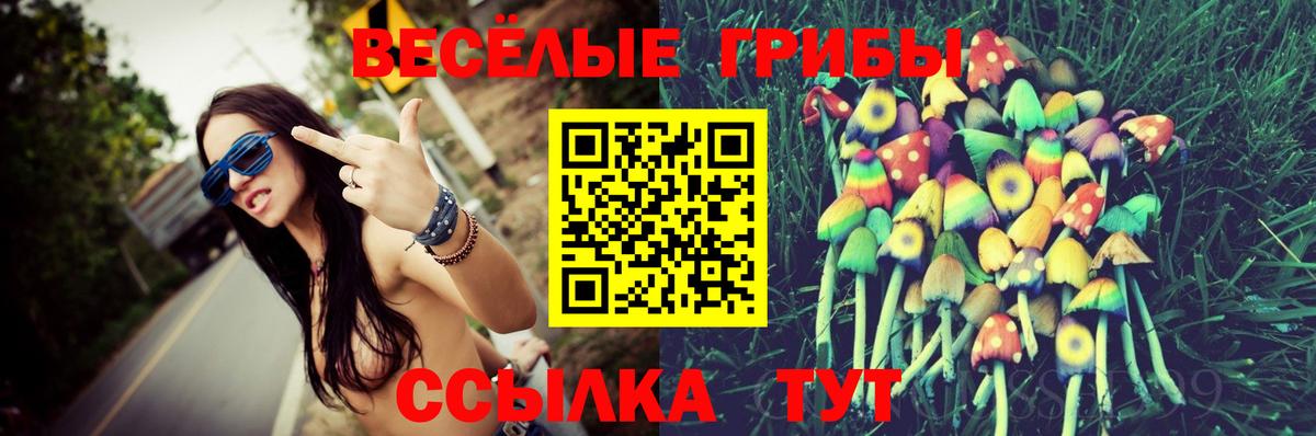 Галлюциногенные грибы MAGIC MUSHROOMS  Вход с VPN  Вязники  Псилоцибиновые грибы Cubensis 
